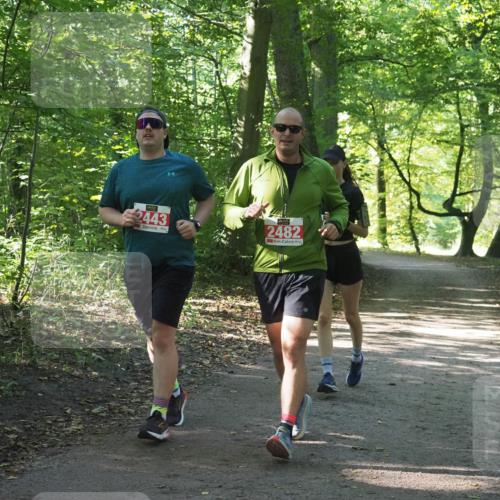 22.09.2024 - 32. Volkslauf durch das schöne Alstertal Miley Keyser http://msf.ph/oto/7135183 22.09.2024 10:49:15 Laufen 2443, 2482 meine-sportfotos.de