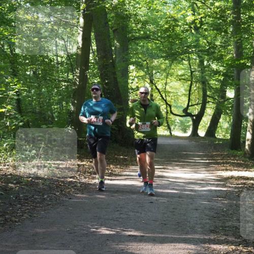 22.09.2024 - 32. Volkslauf durch das schöne Alstertal Miley Keyser http://msf.ph/oto/7135189 22.09.2024 10:49:13 Laufen 2443, 2482 meine-sportfotos.de
