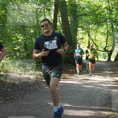 22.09.2024 - 32. Volkslauf durch das schöne Alstertal Miley Keyser http://msf.ph/oto/7135193 22.09.2024 10:49:11 Laufen 355, 3389 meine-sportfotos.de