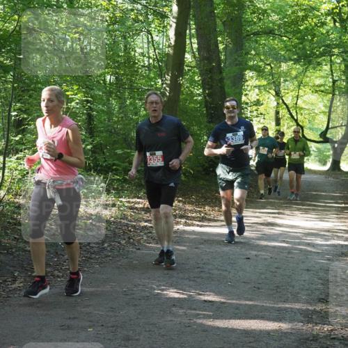 22.09.2024 - 32. Volkslauf durch das schöne Alstertal Miley Keyser http://msf.ph/oto/7135203 22.09.2024 10:49:09 Laufen 2355, 3389, 2482 meine-sportfotos.de