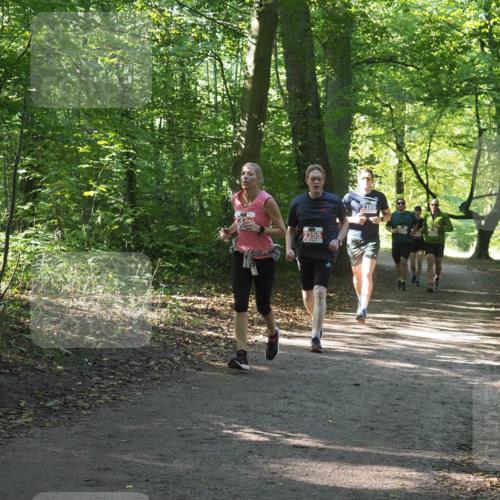 22.09.2024 - 32. Volkslauf durch das schöne Alstertal Miley Keyser http://msf.ph/oto/7135206 22.09.2024 10:49:08 Laufen 2355, 3389 meine-sportfotos.de