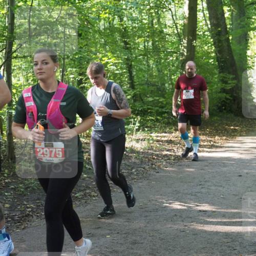 22.09.2024 - 32. Volkslauf durch das schöne Alstertal Miley Keyser http://msf.ph/oto/7135221 22.09.2024 10:49:01 Laufen 170, 2975, 2092 meine-sportfotos.de