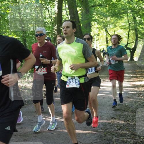 22.09.2024 - 32. Volkslauf durch das schöne Alstertal Miley Keyser http://msf.ph/oto/7135233 22.09.2024 10:48:58 Laufen 3364, 004, 3385, 73, 302 meine-sportfotos.de