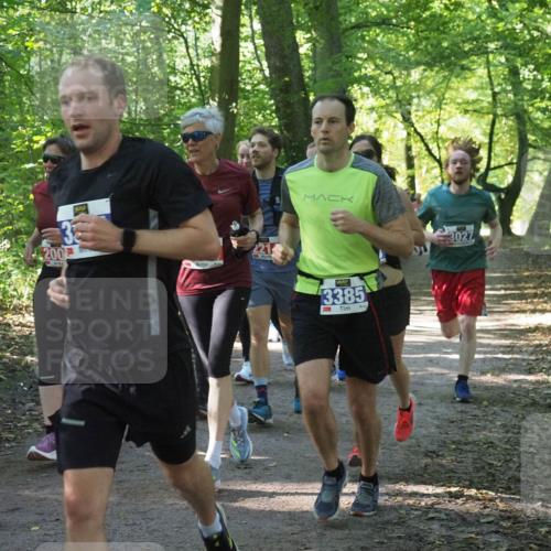 22.09.2024 - 32. Volkslauf durch das schöne Alstertal Miley Keyser http://msf.ph/oto/7135235 22.09.2024 10:48:58 Laufen 005, 200, 33, 3385, 3027 meine-sportfotos.de