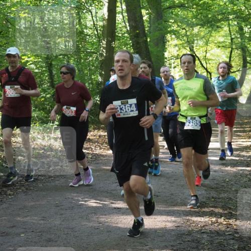 22.09.2024 - 32. Volkslauf durch das schöne Alstertal Miley Keyser http://msf.ph/oto/7135238 22.09.2024 10:48:57 Laufen 200, 2003, 3364, 3385 meine-sportfotos.de