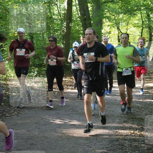 22.09.2024 - 32. Volkslauf durch das schöne Alstertal Miley Keyser http://msf.ph/oto/7135240 22.09.2024 10:48:57 Laufen 2005, 2003, 2215, 33, 027, 3385 meine-sportfotos.de