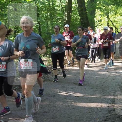 22.09.2024 - 32. Volkslauf durch das schöne Alstertal Miley Keyser http://msf.ph/oto/7135245 22.09.2024 10:48:55 Laufen 15, 2037, 2040, 2151, 215, 2004 meine-sportfotos.de