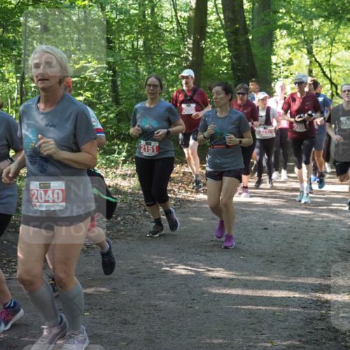 22.09.2024 - 32. Volkslauf durch das schöne Alstertal Miley Keyser http://msf.ph/oto/7135246 22.09.2024 10:48:55 Laufen 2151, 2037, 2040, 2005, 221, 3364, 3385 meine-sportfotos.de