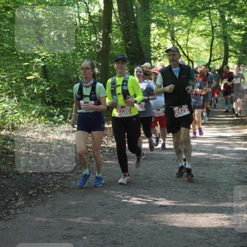 22.09.2024 - 32. Volkslauf durch das schöne Alstertal Miley Keyser http://msf.ph/oto/7135253 22.09.2024 10:48:53 Laufen 2230, 037, 2001, 2475 meine-sportfotos.de