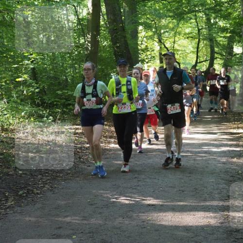 22.09.2024 - 32. Volkslauf durch das schöne Alstertal Miley Keyser http://msf.ph/oto/7135255 22.09.2024 10:48:52 Laufen 2502, 2230037, 001, 2475 meine-sportfotos.de
