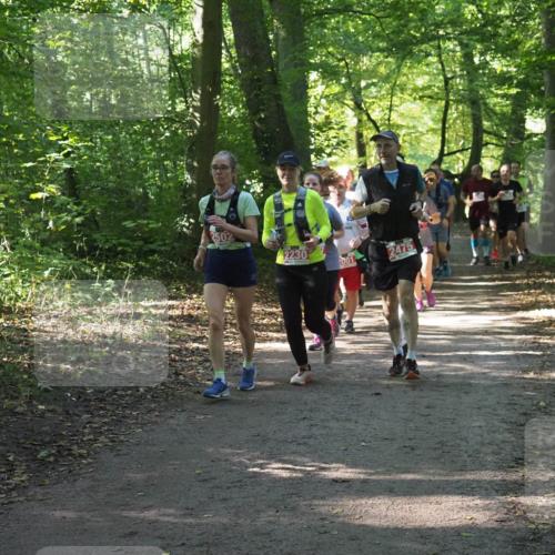 22.09.2024 - 32. Volkslauf durch das schöne Alstertal Miley Keyser http://msf.ph/oto/7135256 22.09.2024 10:48:52 Laufen 2230, 2475 meine-sportfotos.de