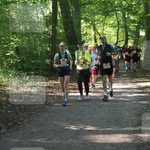 22.09.2024 - 32. Volkslauf durch das schöne Alstertal Miley Keyser http://msf.ph/oto/7135259 22.09.2024 10:48:52 Laufen 2502, 230, 0, 001, 2475 meine-sportfotos.de