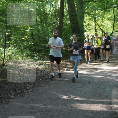 22.09.2024 - 32. Volkslauf durch das schöne Alstertal Miley Keyser http://msf.ph/oto/7135260 22.09.2024 10:48:49 Laufen 2270, 2269, 301, 2040, 2475 meine-sportfotos.de
