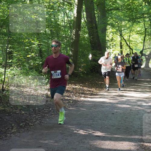 22.09.2024 - 32. Volkslauf durch das schöne Alstertal Miley Keyser http://msf.ph/oto/7135264 22.09.2024 10:48:47 Laufen 3071, 2270 meine-sportfotos.de