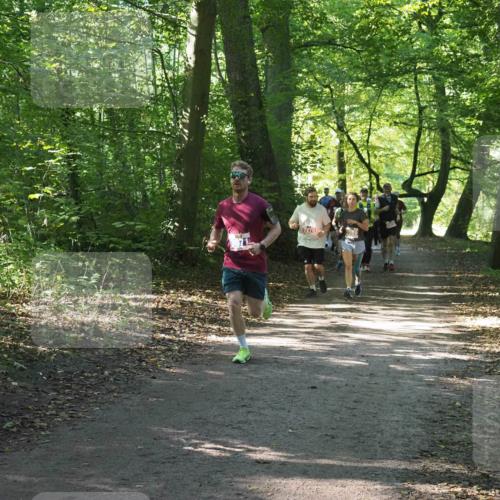 22.09.2024 - 32. Volkslauf durch das schöne Alstertal Miley Keyser http://msf.ph/oto/7135267 22.09.2024 10:48:46 Laufen 2270 meine-sportfotos.de