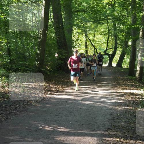 22.09.2024 - 32. Volkslauf durch das schöne Alstertal Miley Keyser http://msf.ph/oto/7135273 22.09.2024 10:48:45 Laufen 3071 meine-sportfotos.de