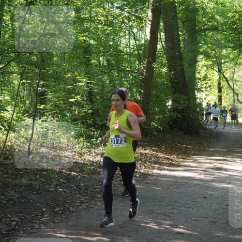 22.09.2024 - 32. Volkslauf durch das schöne Alstertal Miley Keyser http://msf.ph/oto/7135282 22.09.2024 10:48:37 Laufen 3172 meine-sportfotos.de