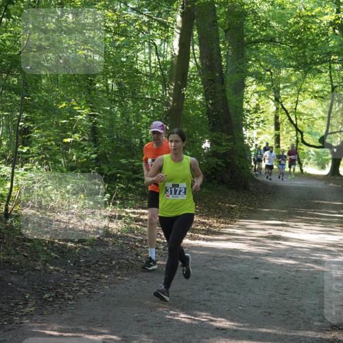 22.09.2024 - 32. Volkslauf durch das schöne Alstertal Miley Keyser http://msf.ph/oto/7135283 22.09.2024 10:48:37 Laufen 3172 meine-sportfotos.de