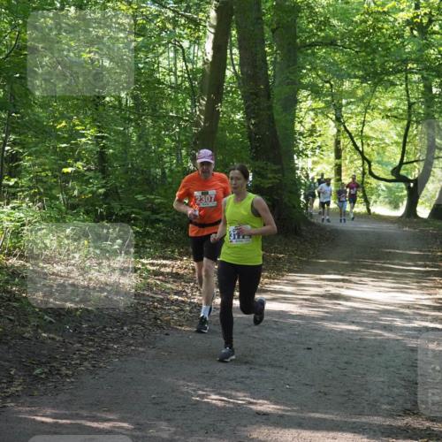 22.09.2024 - 32. Volkslauf durch das schöne Alstertal Miley Keyser http://msf.ph/oto/7135285 22.09.2024 10:48:37 Laufen 2307 meine-sportfotos.de