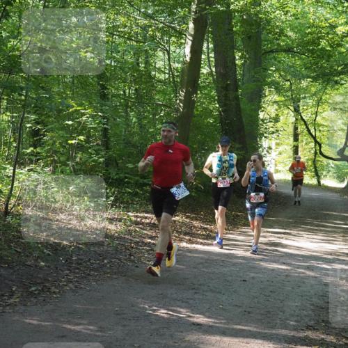22.09.2024 - 32. Volkslauf durch das schöne Alstertal Miley Keyser http://msf.ph/oto/7135297 22.09.2024 10:48:29 Laufen 2537, 2007 meine-sportfotos.de