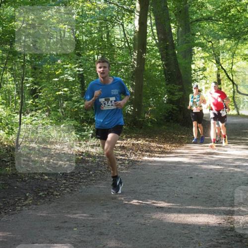 22.09.2024 - 32. Volkslauf durch das schöne Alstertal Miley Keyser http://msf.ph/oto/7135301 22.09.2024 10:48:27 Laufen 3344, 2537 meine-sportfotos.de