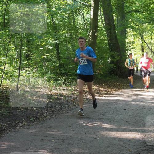 22.09.2024 - 32. Volkslauf durch das schöne Alstertal Miley Keyser http://msf.ph/oto/7135304 22.09.2024 10:48:27 Laufen 3344 meine-sportfotos.de