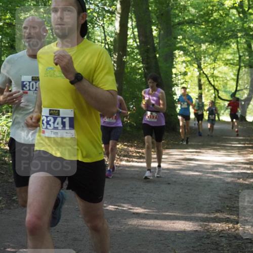 22.09.2024 - 32. Volkslauf durch das schöne Alstertal Miley Keyser http://msf.ph/oto/7135315 22.09.2024 10:48:24 Laufen 309, 3341 meine-sportfotos.de