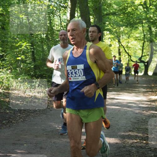 22.09.2024 - 32. Volkslauf durch das schöne Alstertal Miley Keyser http://msf.ph/oto/7135318 22.09.2024 10:48:23 Laufen 30, 3330 meine-sportfotos.de