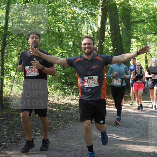 22.09.2024 - 32. Volkslauf durch das schöne Alstertal Miley Keyser http://msf.ph/oto/7135331 22.09.2024 10:48:20 Laufen 2439, 2960, 2552 meine-sportfotos.de