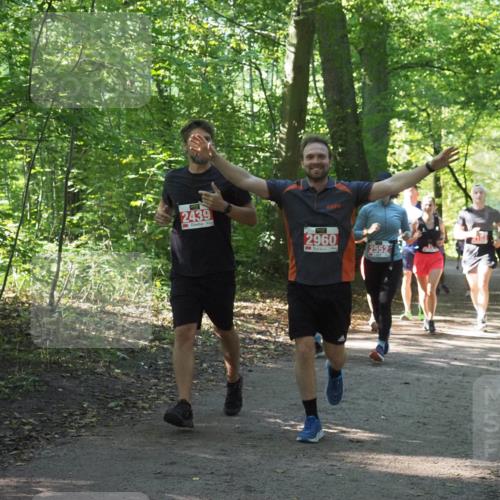 22.09.2024 - 32. Volkslauf durch das schöne Alstertal Miley Keyser http://msf.ph/oto/7135335 22.09.2024 10:48:19 Laufen 2439, 3, 2960 meine-sportfotos.de