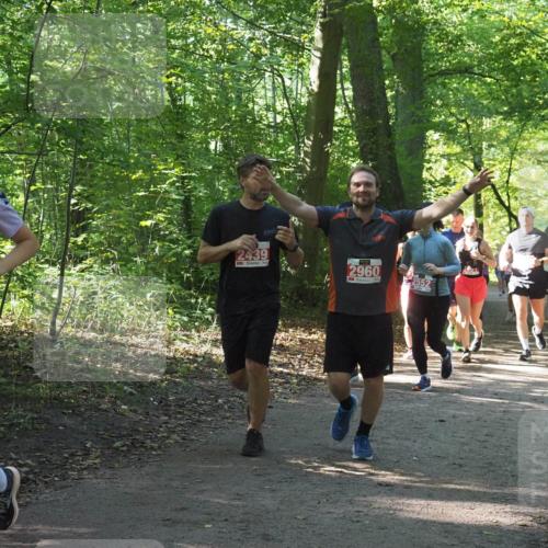 22.09.2024 - 32. Volkslauf durch das schöne Alstertal Miley Keyser http://msf.ph/oto/7135337 22.09.2024 10:48:19 Laufen 2265, 2439, 2960, 2552 meine-sportfotos.de