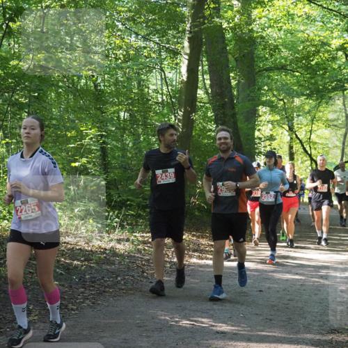 22.09.2024 - 32. Volkslauf durch das schöne Alstertal Miley Keyser http://msf.ph/oto/7135339 22.09.2024 10:48:18 Laufen 2265, 2439, 3, 29, 2552 meine-sportfotos.de