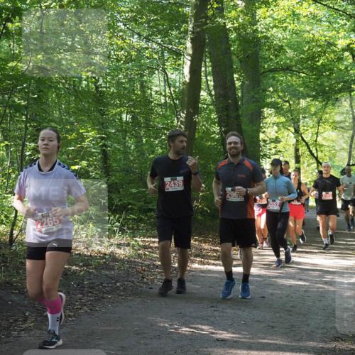 22.09.2024 - 32. Volkslauf durch das schöne Alstertal Miley Keyser http://msf.ph/oto/7135340 22.09.2024 10:48:18 Laufen 2265, 2439, 296, 2103 meine-sportfotos.de