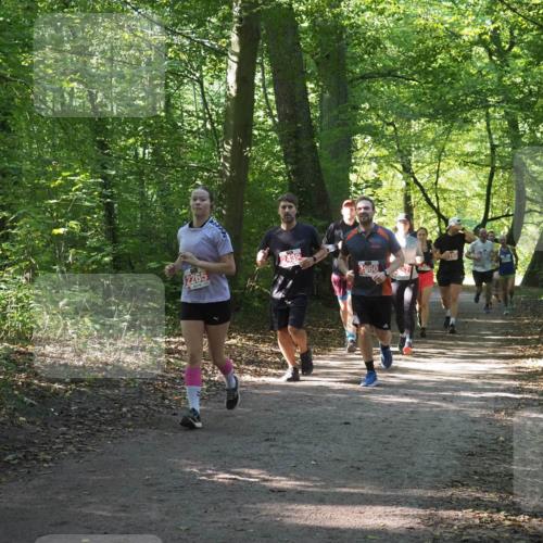 22.09.2024 - 32. Volkslauf durch das schöne Alstertal Miley Keyser http://msf.ph/oto/7135341 22.09.2024 10:48:17 Laufen 391, 2265, 2439, 2960, 52, 103 meine-sportfotos.de