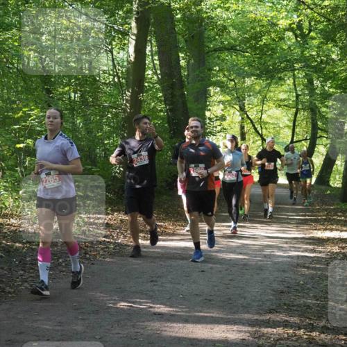 22.09.2024 - 32. Volkslauf durch das schöne Alstertal Miley Keyser http://msf.ph/oto/7135342 22.09.2024 10:48:17 Laufen 2265, 2439, 2960, 2552 meine-sportfotos.de