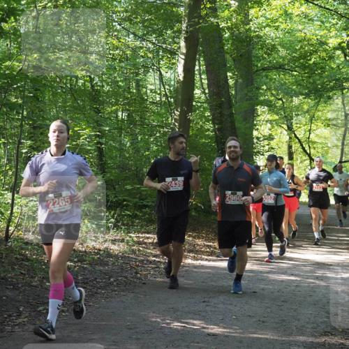 22.09.2024 - 32. Volkslauf durch das schöne Alstertal Miley Keyser http://msf.ph/oto/7135343 22.09.2024 10:48:18 Laufen 2103, 2265, 2439, 2960 meine-sportfotos.de