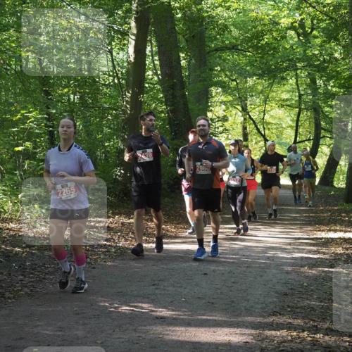 22.09.2024 - 32. Volkslauf durch das schöne Alstertal Miley Keyser http://msf.ph/oto/7135344 22.09.2024 10:48:17 Laufen 2265, 2439, 2960, 2103, 2552 meine-sportfotos.de