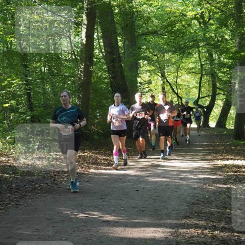 22.09.2024 - 32. Volkslauf durch das schöne Alstertal Miley Keyser http://msf.ph/oto/7135347 22.09.2024 10:48:15 Laufen 2439 meine-sportfotos.de
