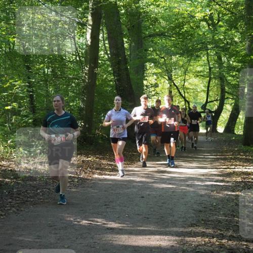 22.09.2024 - 32. Volkslauf durch das schöne Alstertal Miley Keyser http://msf.ph/oto/7135349 22.09.2024 10:48:15 Laufen 2391, 2265, 439, 210 meine-sportfotos.de