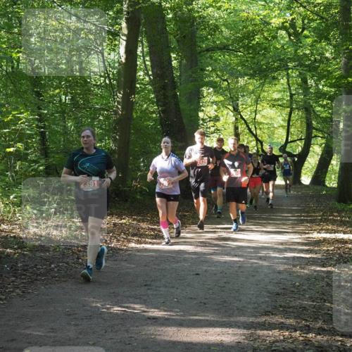 22.09.2024 - 32. Volkslauf durch das schöne Alstertal Miley Keyser http://msf.ph/oto/7135350 22.09.2024 10:48:15 Laufen 2391 meine-sportfotos.de