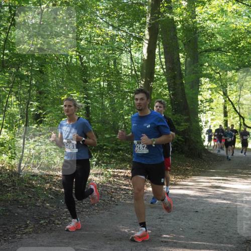 22.09.2024 - 32. Volkslauf durch das schöne Alstertal Miley Keyser http://msf.ph/oto/7135354 22.09.2024 10:48:07 Laufen 3281, 3282 meine-sportfotos.de
