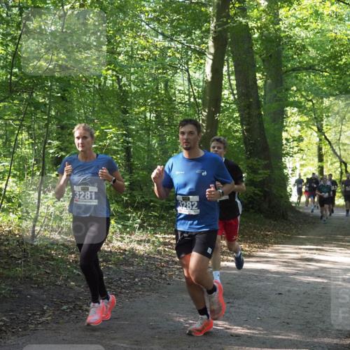 22.09.2024 - 32. Volkslauf durch das schöne Alstertal Miley Keyser http://msf.ph/oto/7135356 22.09.2024 10:48:07 Laufen 3281, 3282 meine-sportfotos.de