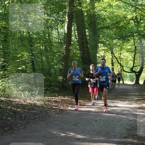 22.09.2024 - 32. Volkslauf durch das schöne Alstertal Miley Keyser http://msf.ph/oto/7135359 22.09.2024 10:48:06 Laufen 3281, 3282, 3323 meine-sportfotos.de