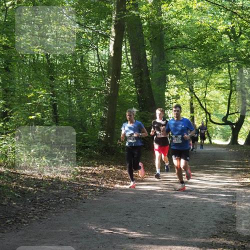 22.09.2024 - 32. Volkslauf durch das schöne Alstertal Miley Keyser http://msf.ph/oto/7135360 22.09.2024 10:48:06 Laufen 3282 meine-sportfotos.de