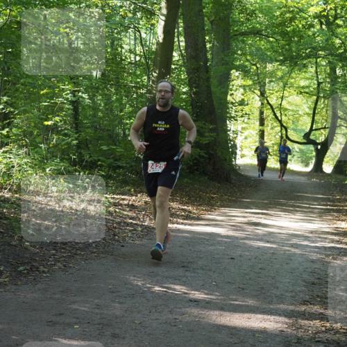 22.09.2024 - 32. Volkslauf durch das schöne Alstertal Miley Keyser http://msf.ph/oto/7135364 22.09.2024 10:48:00 Laufen 2425 meine-sportfotos.de
