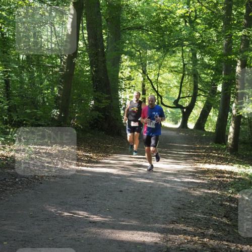 22.09.2024 - 32. Volkslauf durch das schöne Alstertal Miley Keyser http://msf.ph/oto/7135371 22.09.2024 10:47:57 Laufen 425, 182 meine-sportfotos.de