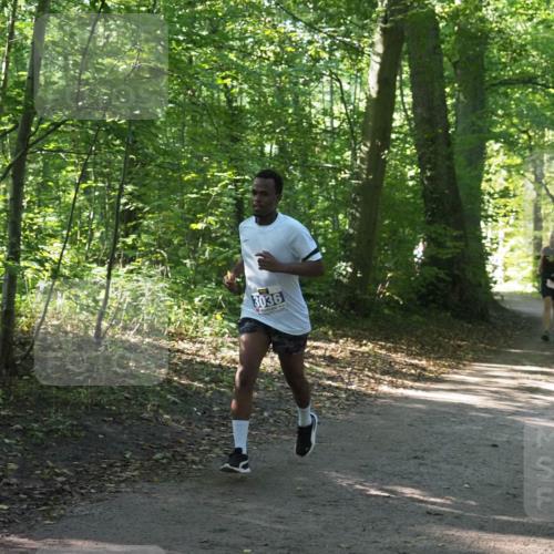 22.09.2024 - 32. Volkslauf durch das schöne Alstertal Miley Keyser http://msf.ph/oto/7135373 22.09.2024 10:47:54 Laufen 3036 meine-sportfotos.de