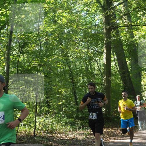 22.09.2024 - 32. Volkslauf durch das schöne Alstertal Miley Keyser http://msf.ph/oto/7135385 22.09.2024 10:47:46 Laufen 3042, 3116 meine-sportfotos.de