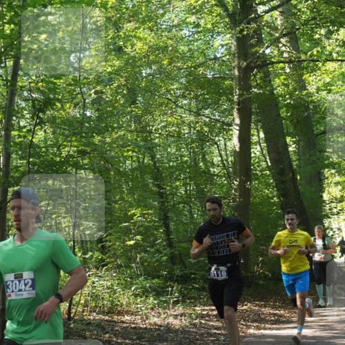 22.09.2024 - 32. Volkslauf durch das schöne Alstertal Miley Keyser http://msf.ph/oto/7135386 22.09.2024 10:47:46 Laufen 3042, 3116 meine-sportfotos.de