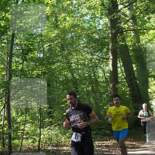 22.09.2024 - 32. Volkslauf durch das schöne Alstertal Miley Keyser http://msf.ph/oto/7135387 22.09.2024 10:47:47 Laufen 3116 meine-sportfotos.de